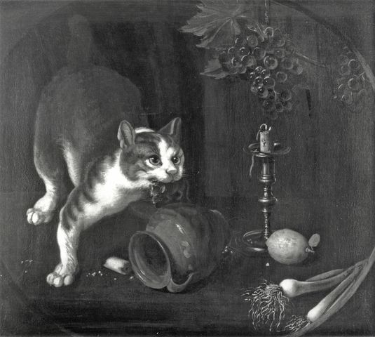 A. C. Cooper — Briglia Giovanni Francesco - sec. XVIII - Natura morta con frutta, cipollotti, gatto e topo — insieme
